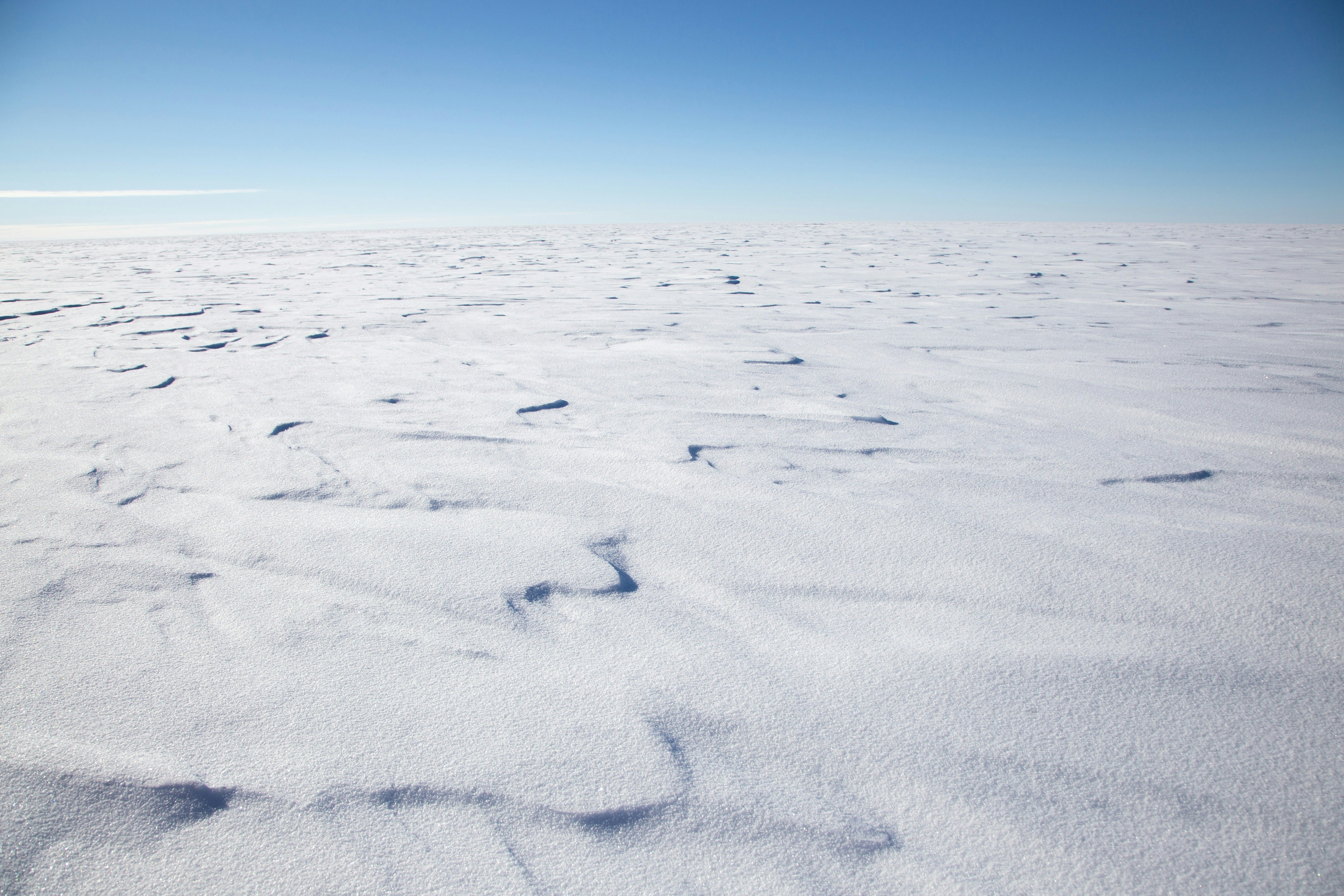 the coldest place on earth in Antarctica