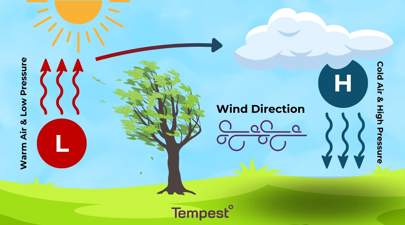How Does Wind Form What Causes Wind Tempest