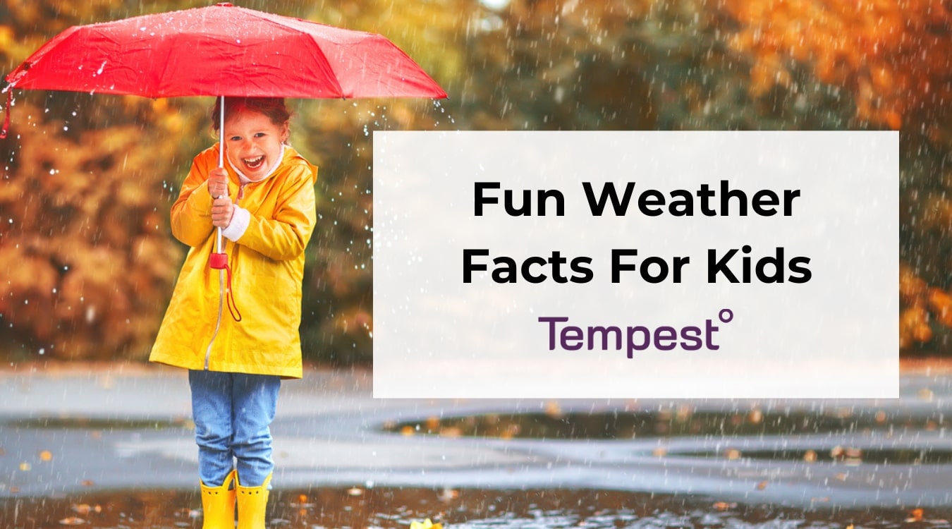 a kid standing in the rain with an umbrella learning about weather