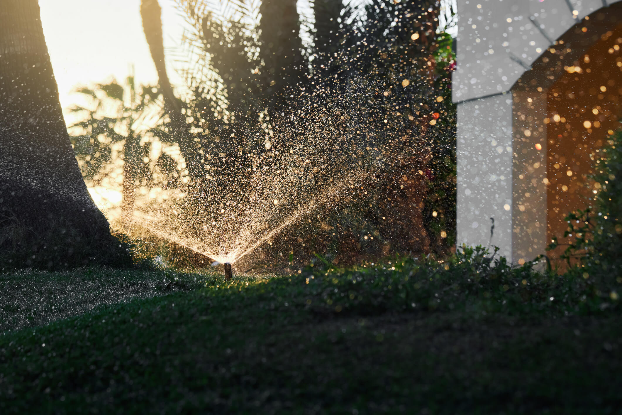 an in ground sprinkler watering a front lawn