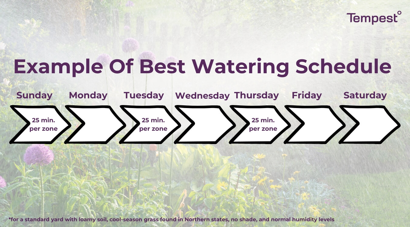 the best watering schedule for keeping your lawn green