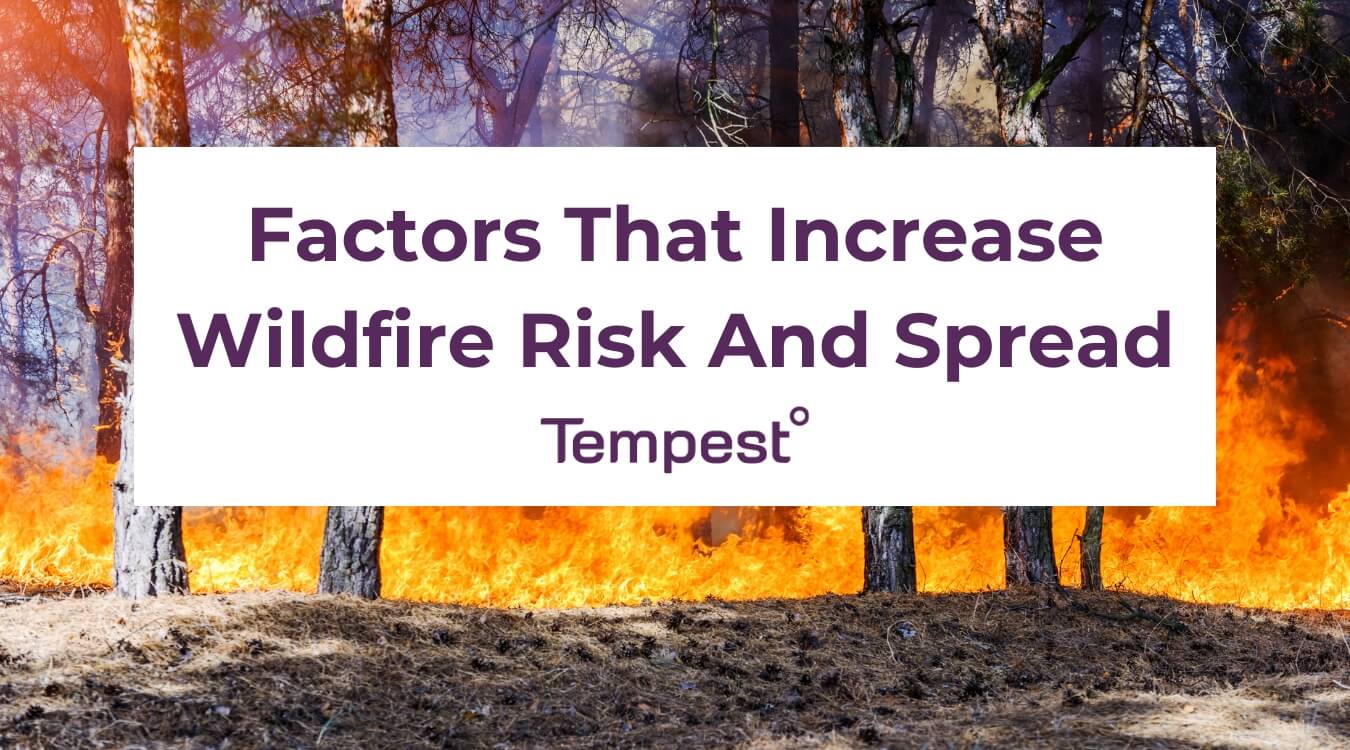 a wildfire started by humans, spreading and destroying a forest