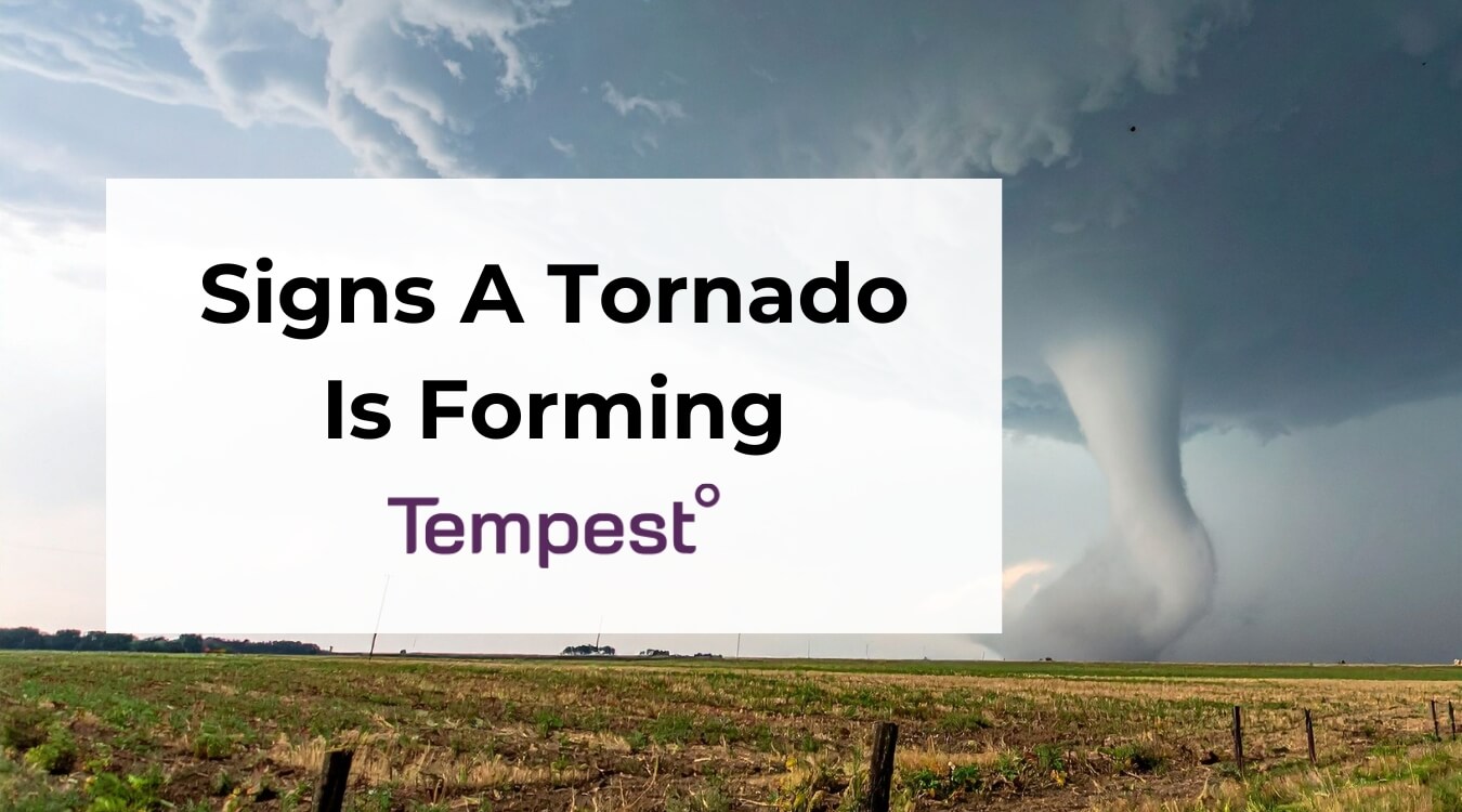 a tornado forming in Tornado Alley